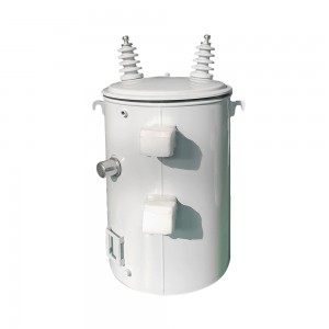 IEC 60076 Standard 50 kVA 100 kVA 13.8kV Ho ea 120/240V Single Phase Pole Mounted Transformer2