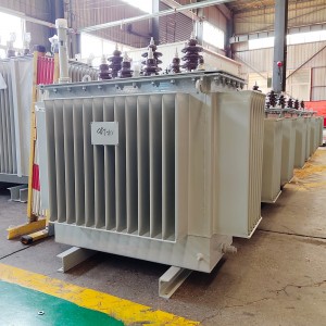 Tiêu chuẩn cao Sơn chống rỉ 200 kva 315 kva 11000v 400v Máy biến áp ngâm dầu Máy biến áp 700kva8