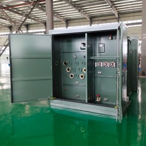 ANSI standard 1000 kva three phase pad mounted transformer 12470V to 208/120V with Bayonet Fuses 60hz6