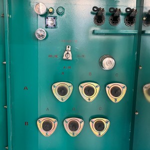 Væske-nedsenket radialmating 60Hz 24940V til 208/120V 1000 kva Trefaset padmontert transformator6