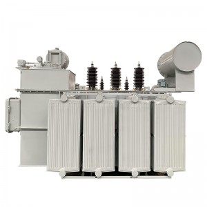 Factory Oil Immersed Transformer Power Distribution Transformer