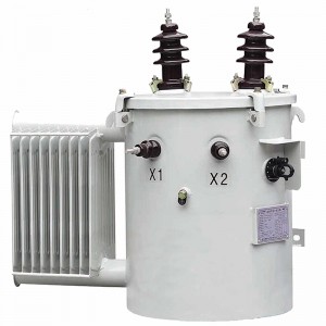 CSP 50KVA 75KVA 100KVA 12470/7620 ANSI IEEE стандартын нэг фазын туйл дээр суурилуулсан түгээлтийн трансформатор