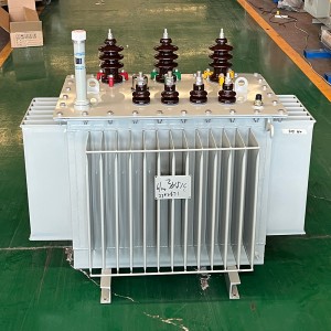 1000kva 800kva 400v 230V 1mw Եռաֆազ յուղի մեջ ընկղմված տրանսֆորմատորային էներգիայի բաշխում8