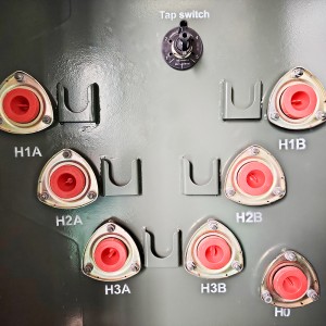 hiki ke hoʻopilikino ʻia 315 Kva 500 Kva 416v Enclosure Pad i kau ʻia me Transformer10