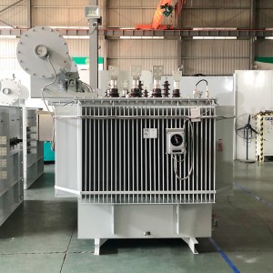 Phân phối chất lỏng dầu trên không 2500kva 3150kva 6,6kV/10kV/11kV Máy biến áp ngâm dầu ba pha7