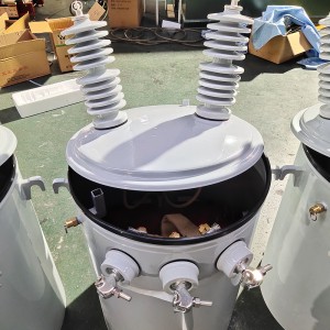 Single Phase Pole Transformer 50 kVA 100kva 200 kVA 4160V/34.5kV Oil Power Distribution Transformer7