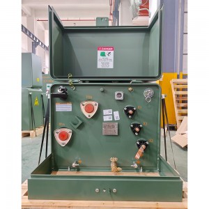 NEMA-standaardbehuizing 14400 V tot 480/277 V 100 kva eenfasige, op een pad gemonteerde transformator6