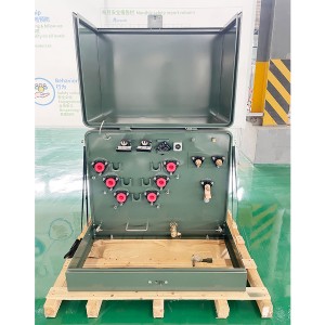 Jzp 25 Kva 50 Kva 100kva 27.6kv/600v Single Phase Pad Mounted Transformer6