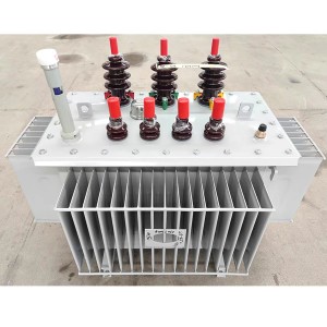 Mataas na Boltahe Panlabas 250kva 315kva 10kv 400v Three Phase Oil Immersed Transformer5