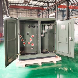 Famatsiana herinaratra pad mounted transformer 300kva amerika telo phase feno menaka transformer7