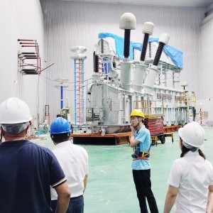 Jzp Giá nhà sản xuất 50 Mva 240 Mva 110kv 220kv Máy biến áp điện Oltc Máy biến áp ngâm dầu ba pha8