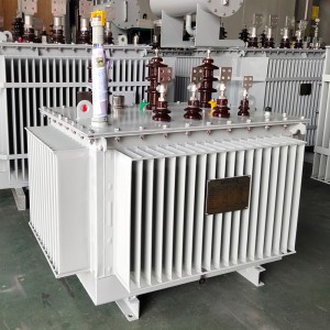 저손실 20kv 250kva 400kva 삼상 주거용 오일 침지 변압기 Onan10