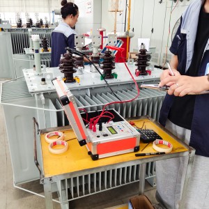 ANSI/IEEE Standard 500kva 1000kva S1 ဖြန့်ဖြူးရေး သုံးဆင့်လျှပ်စစ်ပါဝါ မြင့်မားသောဗို့အား ဆီနှစ်မြှုပ်ထားသော ထရန်စဖော်မာ 8